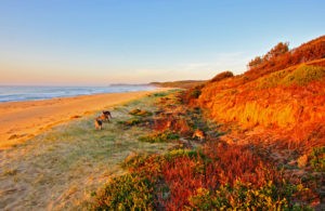 Not many news, gift and dvd stores can boast that. Stunning location, established store, how could you not love the Sapphire Coast.