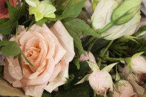 Manuka Flowers is a stunning florist providing exceptional quality to Canberra and surrounds. Perfect opportunity for the a florist to pick up the business.