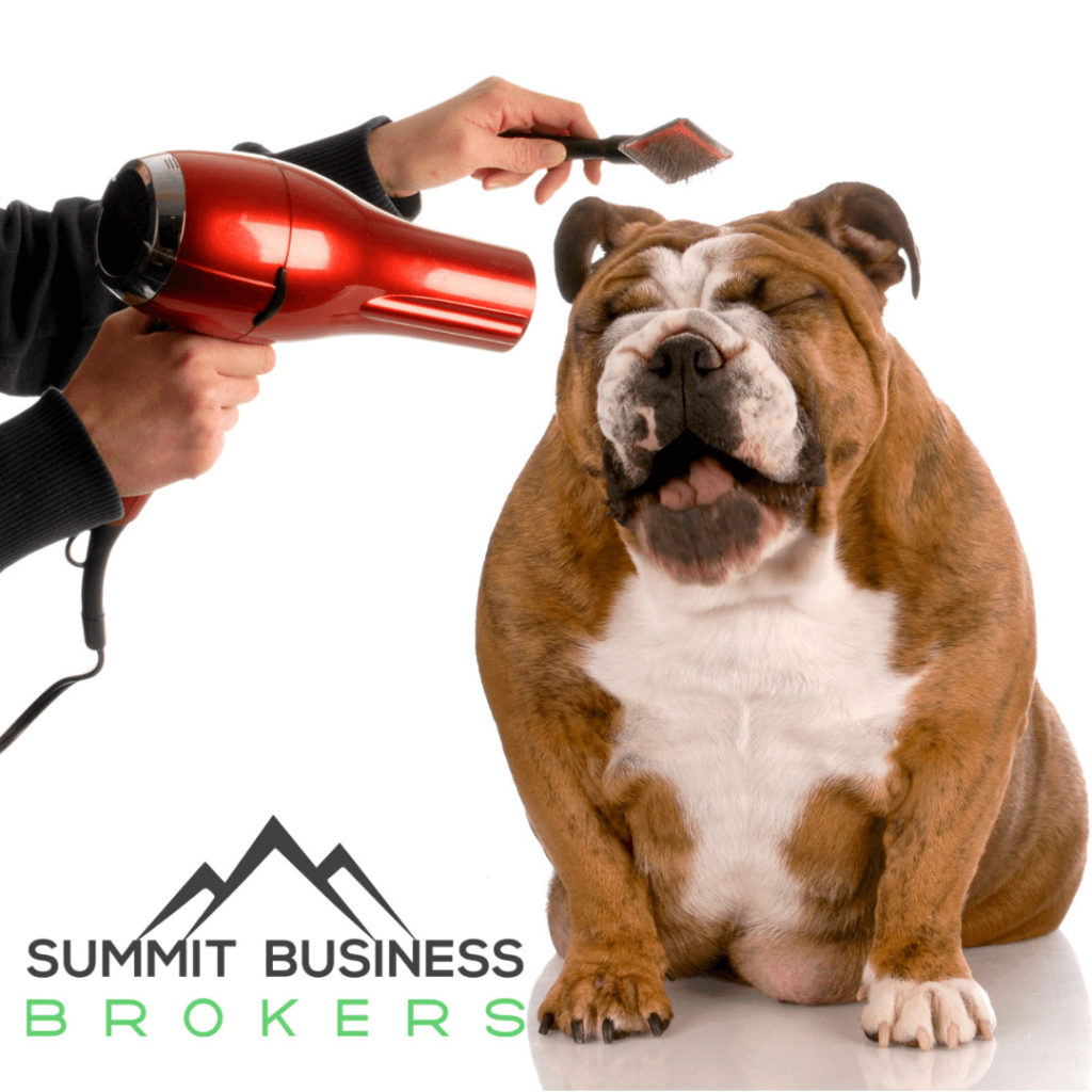 TLC Pet grooming Summit Business Brokers