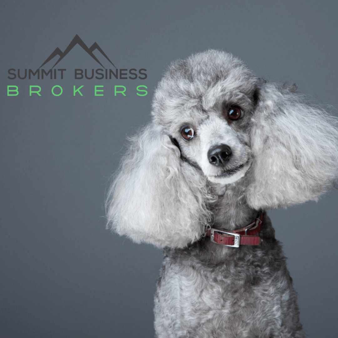 TLC pet grooming 2 Summit Business Brokers